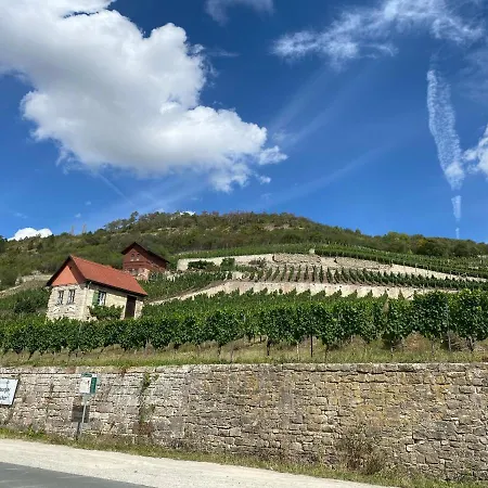 Ferienhaus Gutedel Freyburg  Exterior foto
