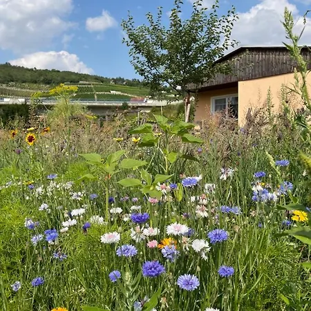 Ferienhaus Gutedel Freyburg  Exterior foto