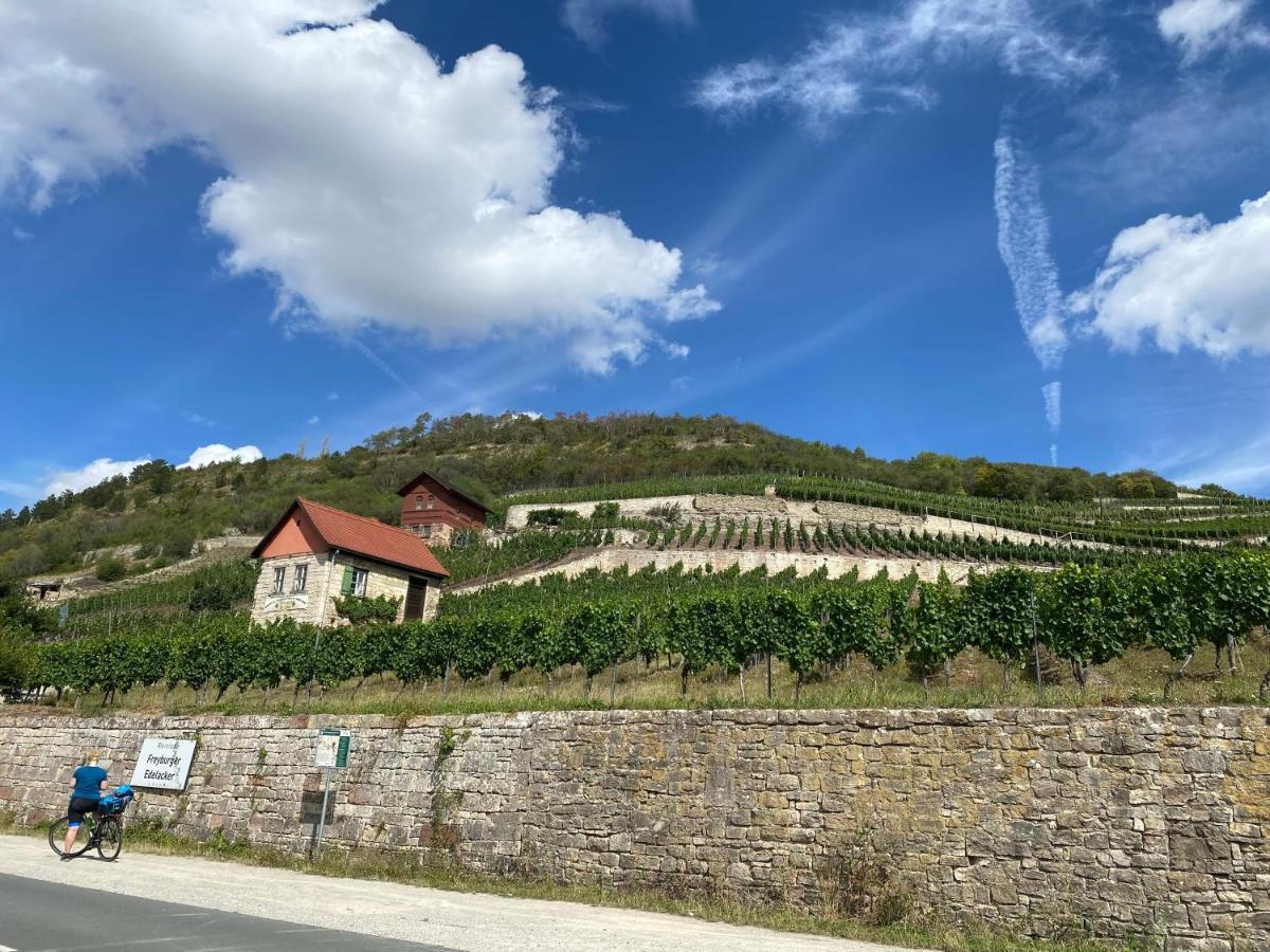 Gutedel * Freyburg