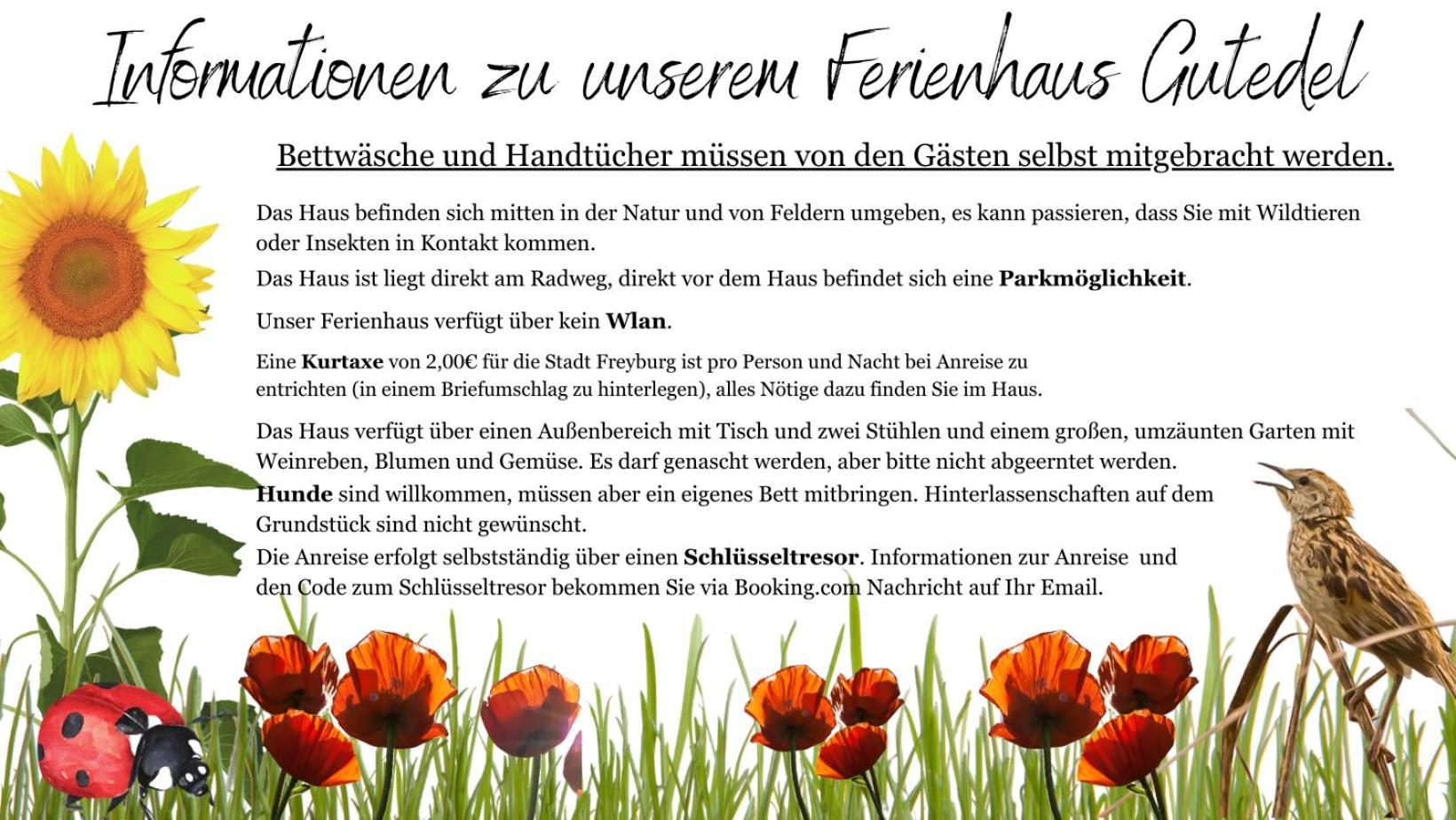 Gutedel Freyburg